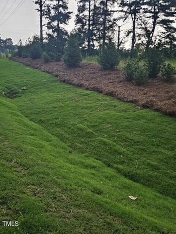 1643 Hannah Creek Rd, Benson, NC 27504