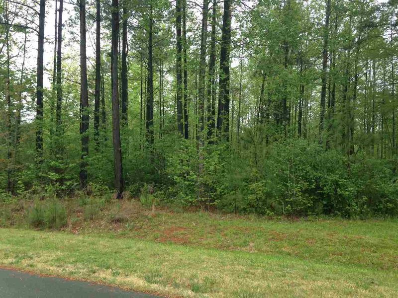 165 Berry Patch Ln Lot 735, Pittsboro, NC 27312