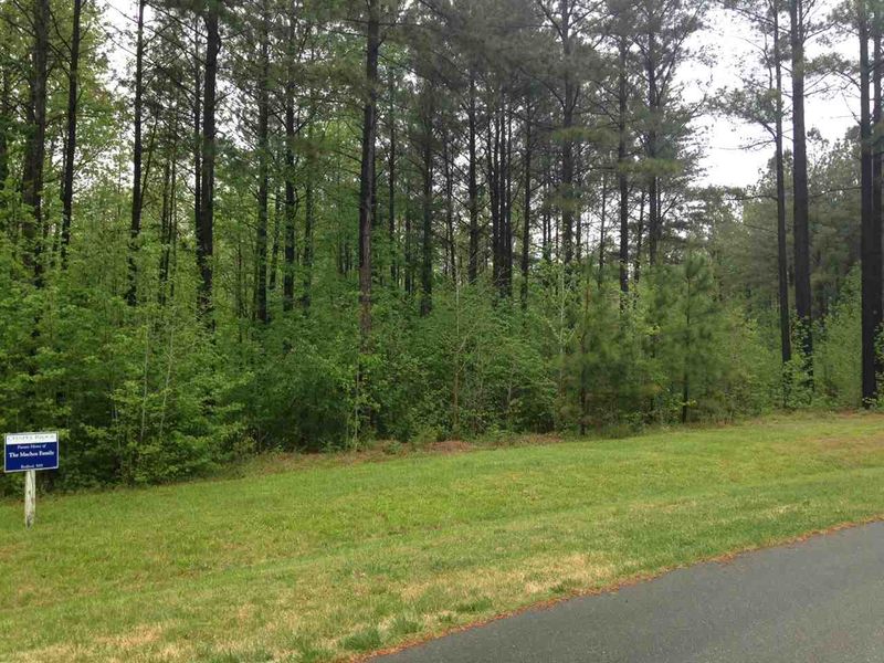 165 Berry Patch Ln Lot 735, Pittsboro, NC 27312