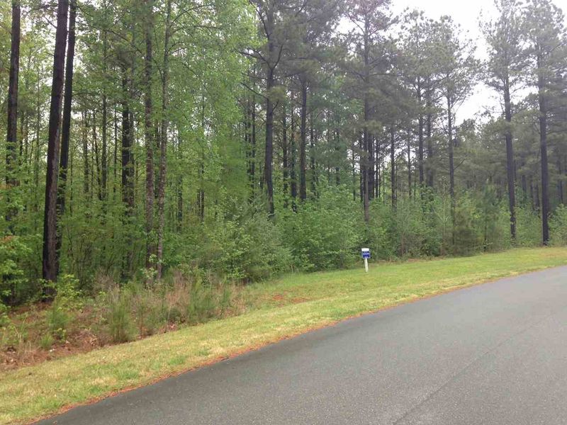 165 Berry Patch Ln Lot 735, Pittsboro, NC 27312