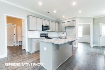 165 Cinnabar St, Clayton, NC 27527