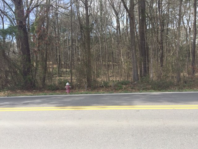 1652 Mineral Springs Rd Lot 54,55,60, Durham, NC 27703
