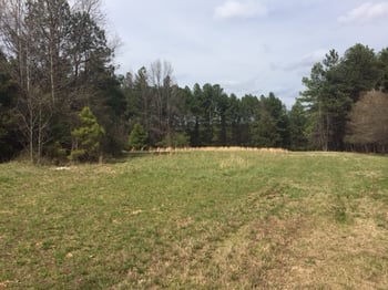 1652 Mineral Springs Rd Lot 54,55,60, Durham, NC 27703