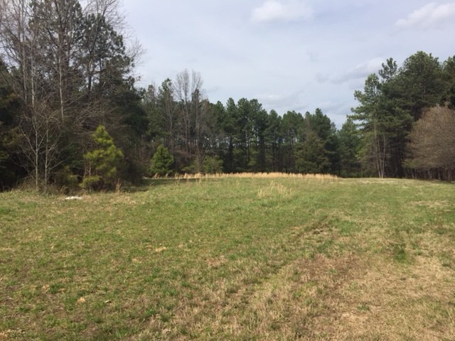 1652 Mineral Springs Rd Lot 54,55,60, Durham, NC 27703