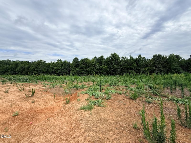 166 Batten Pond Rd, Selma, NC 27576