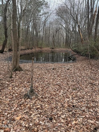 167 David Rd Lot 10, Wendell, NC 27591