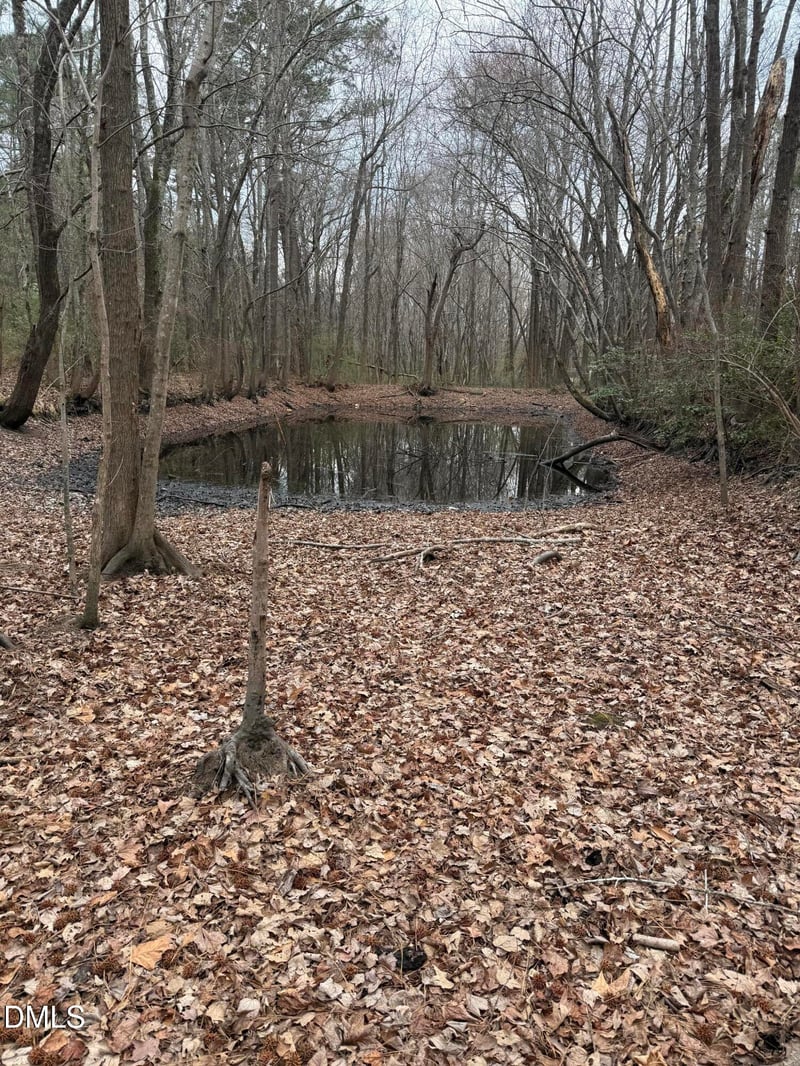 167 David Rd Lot 10, Wendell, NC 27591