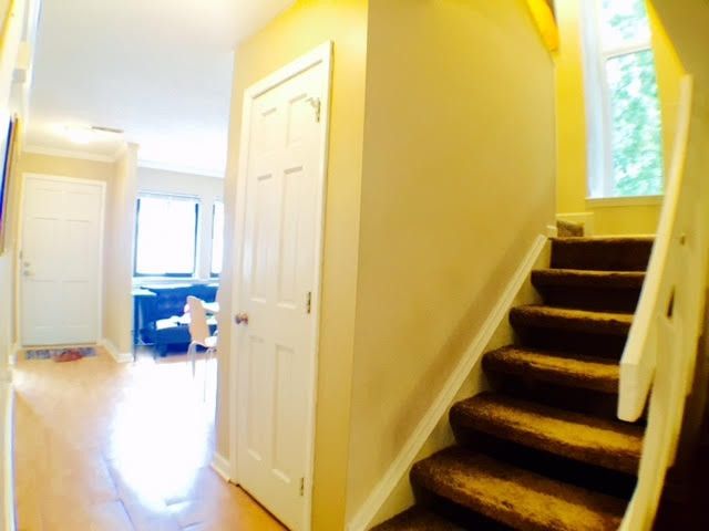 167 Newton Rd, Raleigh, NC 27615