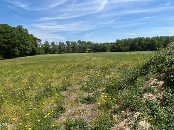 168 Prency Ln, Middlesex, NC 27557