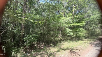 1683 Buckner Clark Rd Lot 15, Pittsboro, NC 27312