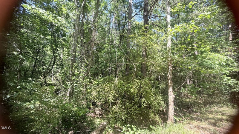 1683 Buckner Clark Rd, Pittsboro, NC 27312