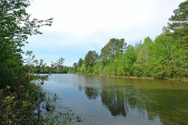 169 Trillium Way, Clayton, NC 27527
