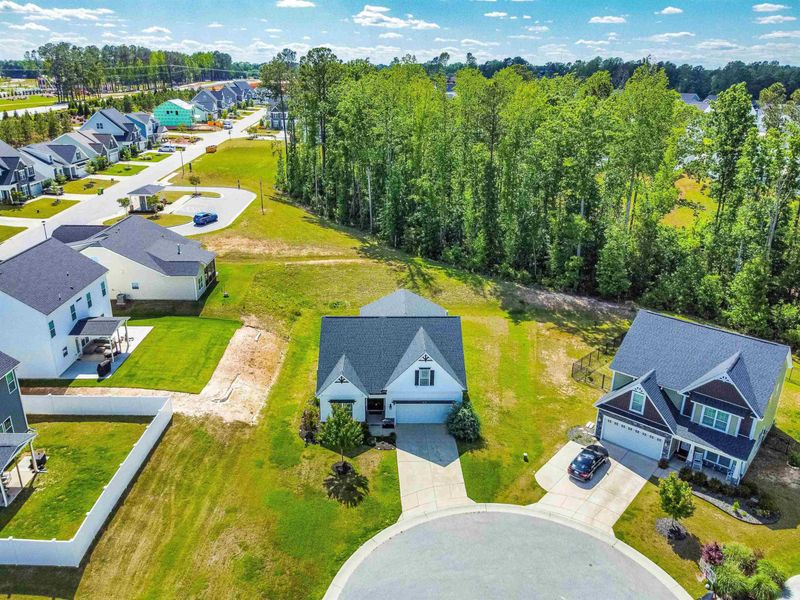 17 Edison Ct, Clayton, NC 27527