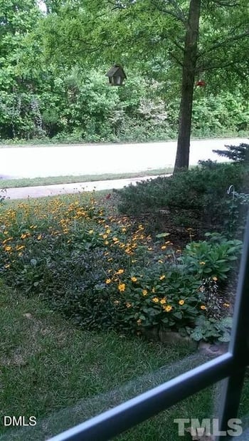 17 Red Ln, Raleigh, NC 27606