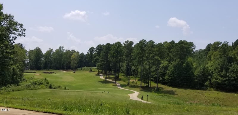 17 Sweet Meadow Ln, Pittsboro, NC 27312