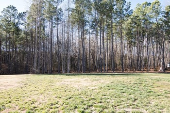 17 Titus Ln, Wendell, NC 27591