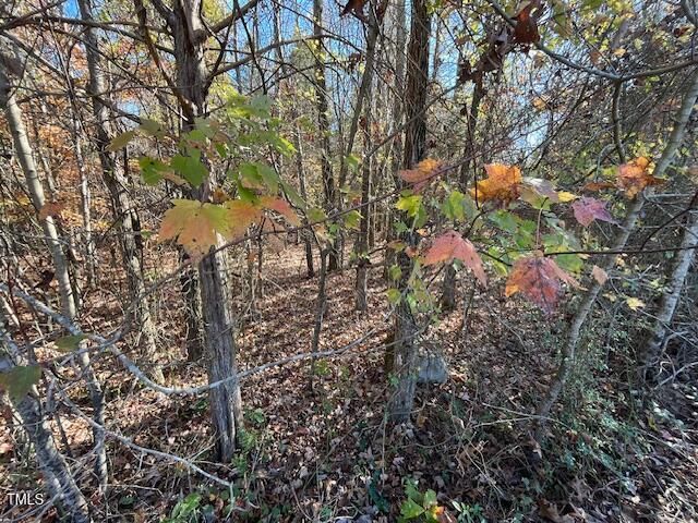 17.74 Acre Halifax Rd Lot TBD, Roxboro, NC 27574