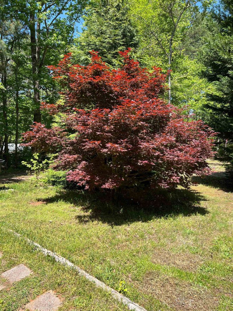 170 Harris Rd, Youngsville, NC 27596