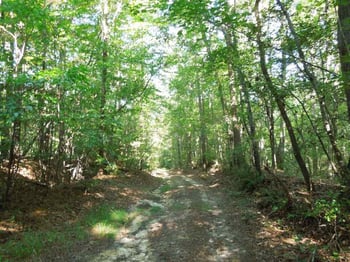 1700 Kipling Rd Lot na, Fuquay Varina, NC 27526