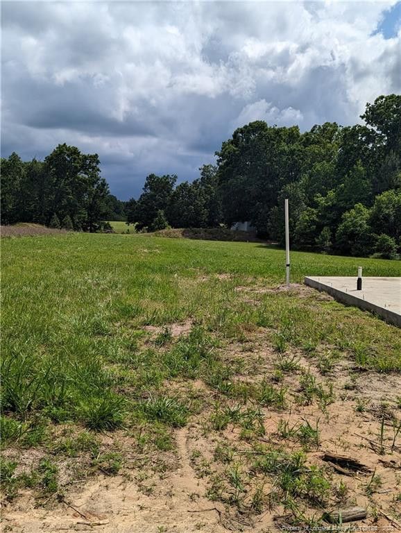 1706 Blackstone Rd, Sanford, NC 27330