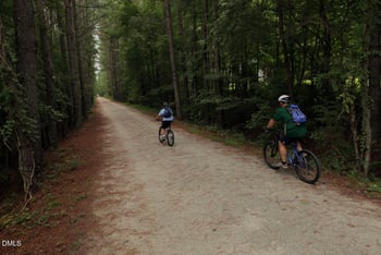 1713 Montvale Grant Way, Cary, NC 27519