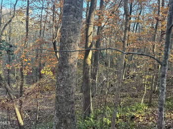 1715 Fire Depart Rd, Clayton, NC 27527