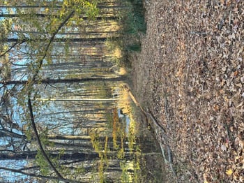 1715 Fire Depart Rd, Clayton, NC 27527