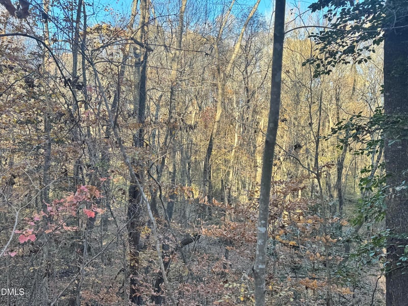 1715 Fire Depart Rd Lot 1, Clayton, NC 27527