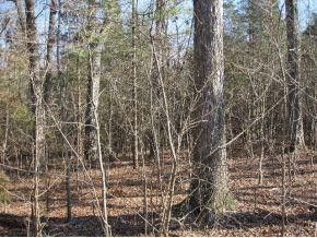 1718 Swepsonville Rd, Graham, NC 27253