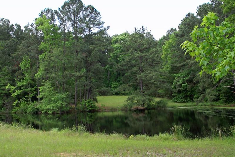 1719 Farrington Rd Lot 1, Apex, NC 27523