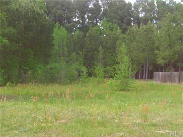 172 S Mac Ln Lot 12, Angier, NC 27501