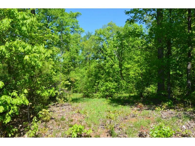 1722 Crawford Rd, Graham, NC 27253