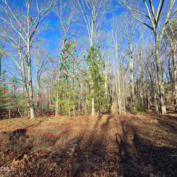 1722 River Run Ct, Franklinton, NC 27525