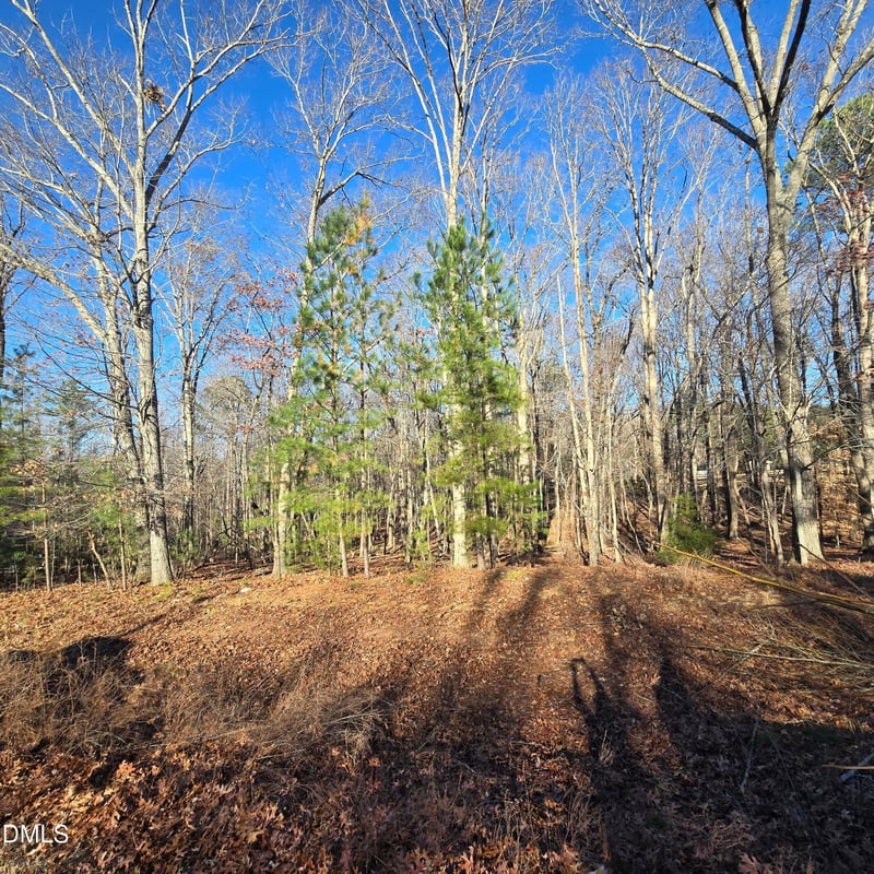 1722 River Run Ct, Franklinton, NC 27525