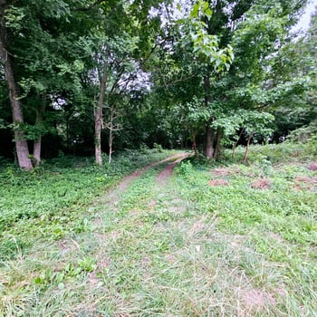 1722 Vicksboro Rd, Henderson, NC 27536