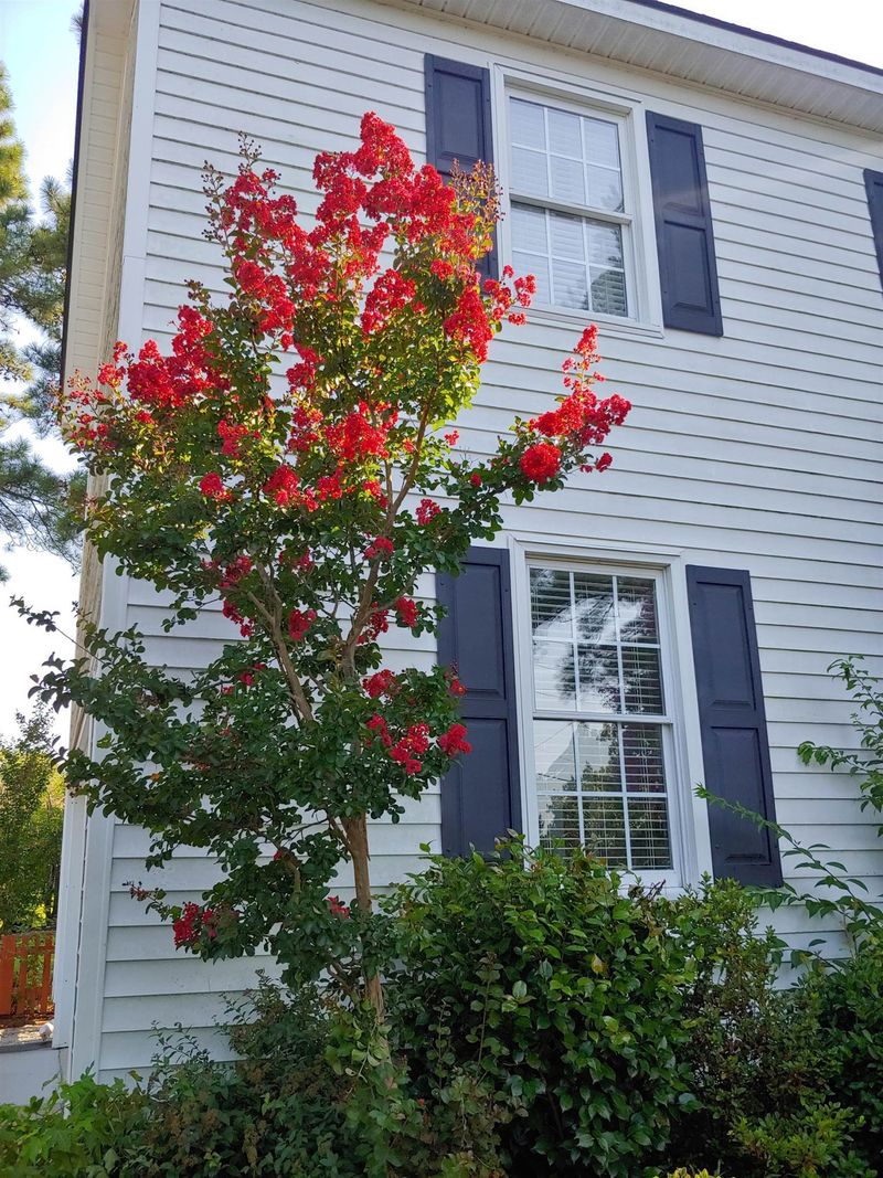 1734 Woodland Rd, Garner, NC 27529