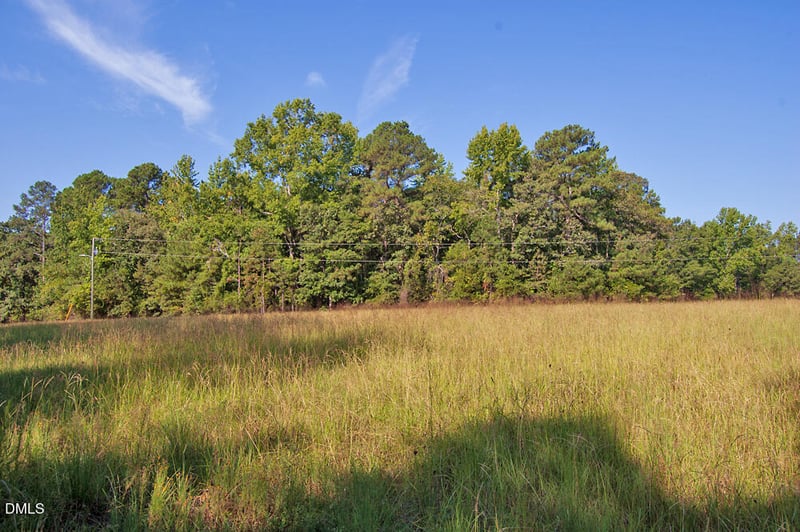 1738 Laurel Mill Centerville Rd Lot 4A, Louisburg, NC 27549
