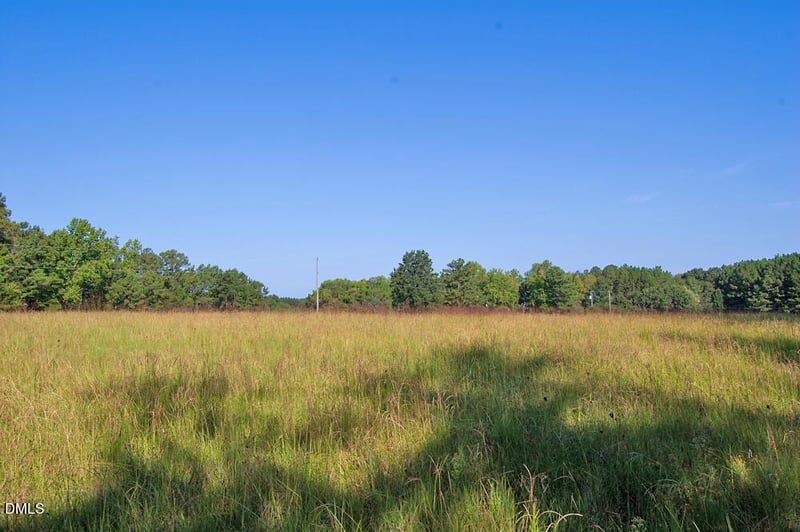 1738 Laurel Mill Centerville Rd Lot 4A, Louisburg, NC 27549