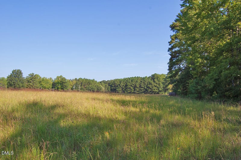 1738 Laurel Mill Centerville Rd Lot 4A, Louisburg, NC 27549
