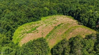 1740 Nc Highway 61 Hw, Whitsett, NC 27377