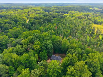 1744 Spring Lily Ln, Hillsborough, NC 27278