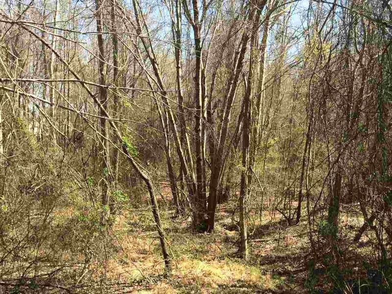 1748 Castleberry Rd, Clayton, NC 27527