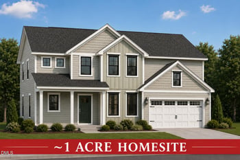 175 Starlet Rdg Way, Clayton, NC 27520