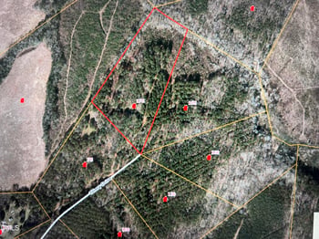 175 Tillery Dr Lot 11, Louisburg, NC 27549