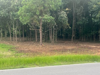 175 White Memorial Rd, Angier, NC 27501
