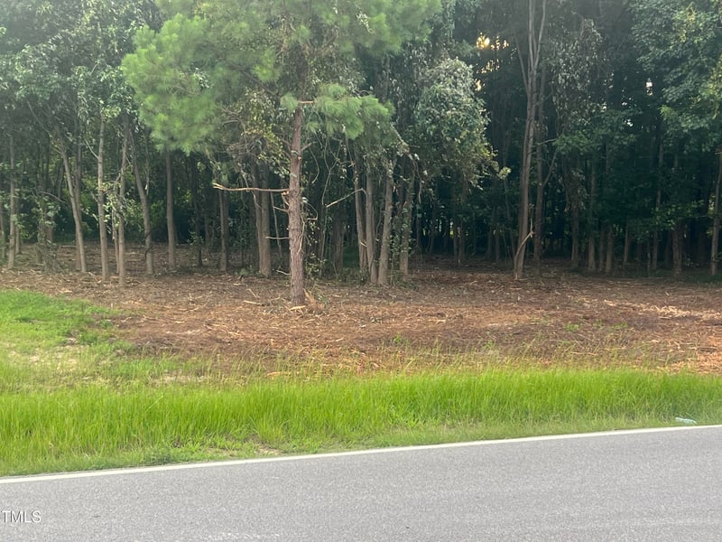 175 White Memorial Rd, Angier, NC 27501
