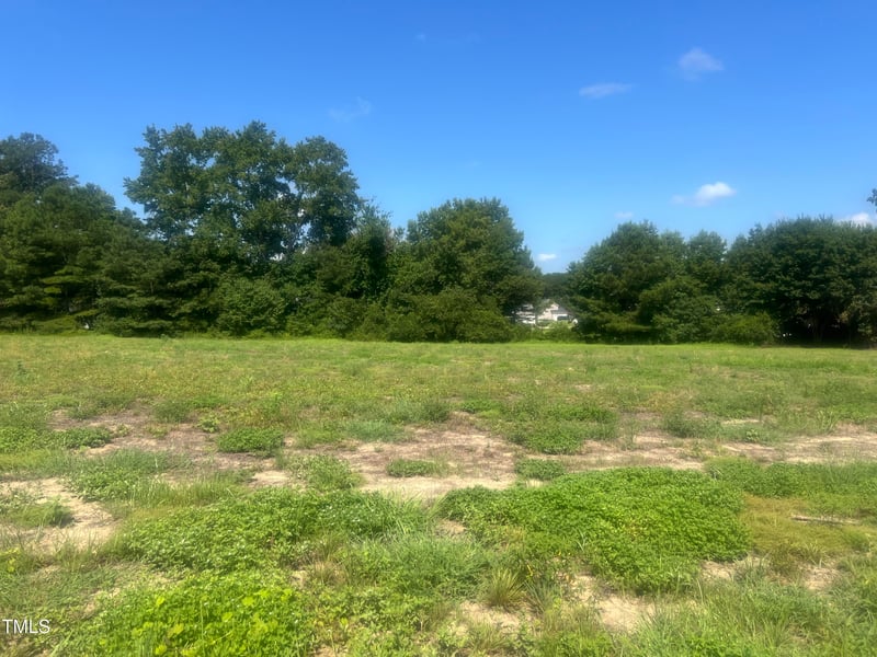 175 White Memorial Rd, Angier, NC 27501