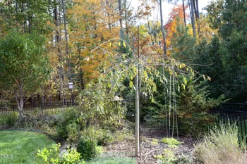 1752 Hasentree Villa Ln, Wake Forest, NC 27587