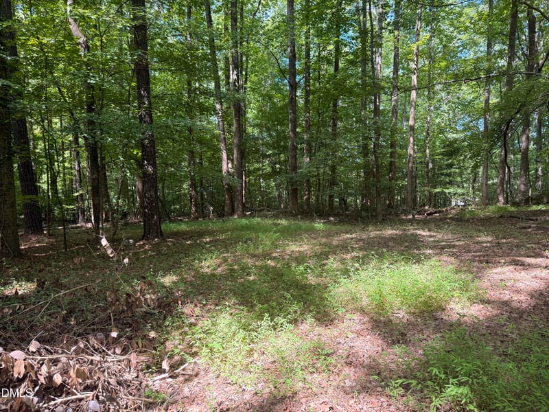 1753 Old Lystra Rd Unit Rr Lot RR, Chapel Hill, NC 27517