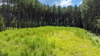 176 Dogeye Rd, Benson, NC 27504